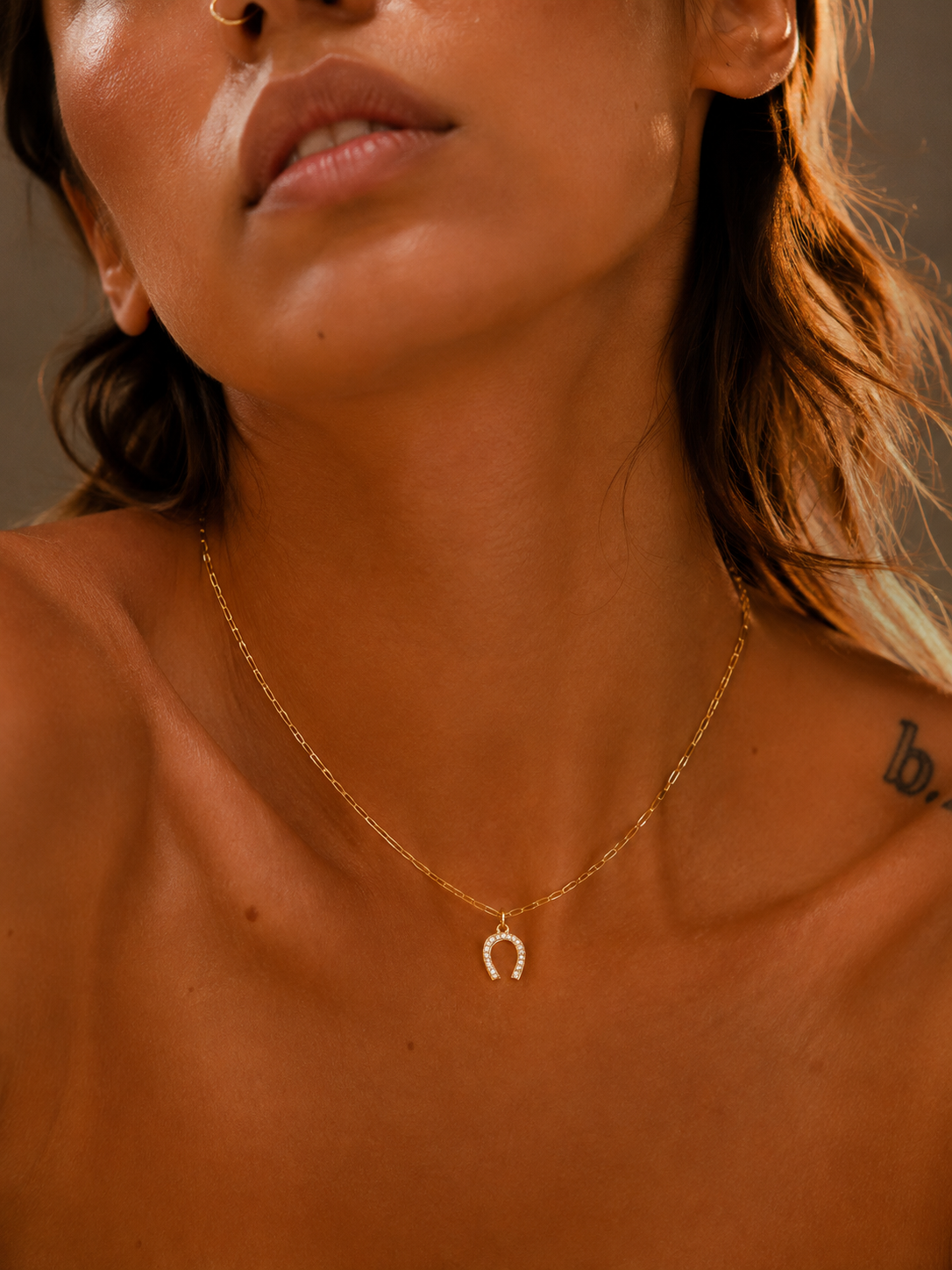 Lucky Horseshoe Nano Charm